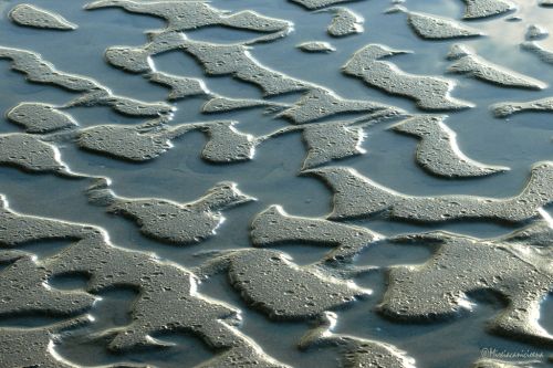 Fotografia de Mireia Canicio Ena - Galeria Fotografica: DETALLES - Foto: 