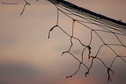 Fotografia de Mireia Canicio Ena - Galeria Fotografica: DETALLES - Foto: 