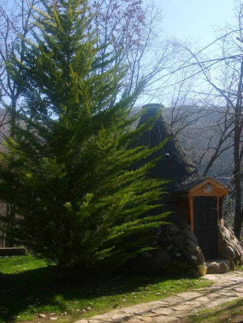 Fotografia de Akira Woman - Galeria Fotografica: Mis fotos(2010) - Foto: 