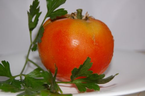 Fotografia de Akira Woman - Galeria Fotografica: VERDURAS Y FRUTAS - Foto: 