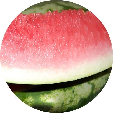 Fotografia de Akira Woman - Galeria Fotografica: VERDURAS Y FRUTAS - Foto: 