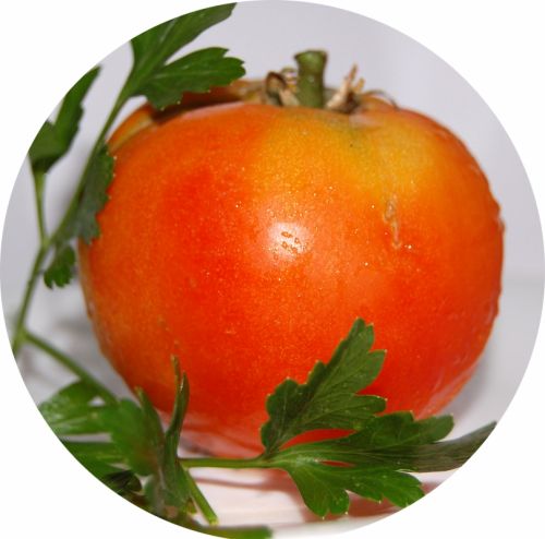 Fotografia de Akira Woman - Galeria Fotografica: VERDURAS Y FRUTAS - Foto: 