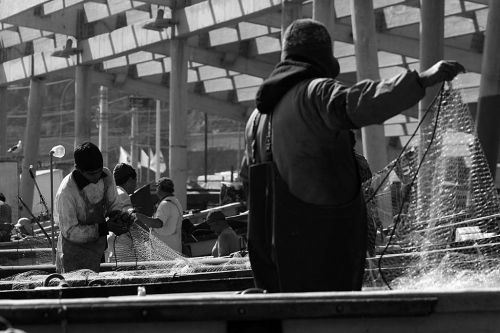 Fotografia de RICARDO ZURA - Galeria Fotografica: fotografias periodisticas - Foto: 