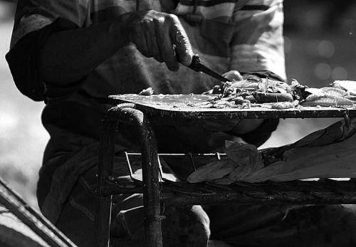 Fotografia de RICARDO ZURA - Galeria Fotografica: fotografias periodisticas - Foto: 