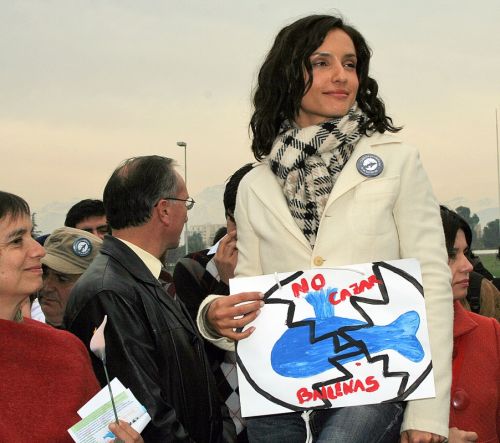 Fotografia de RICARDO ZURA - Galeria Fotografica: fotografias periodisticas - Foto: 