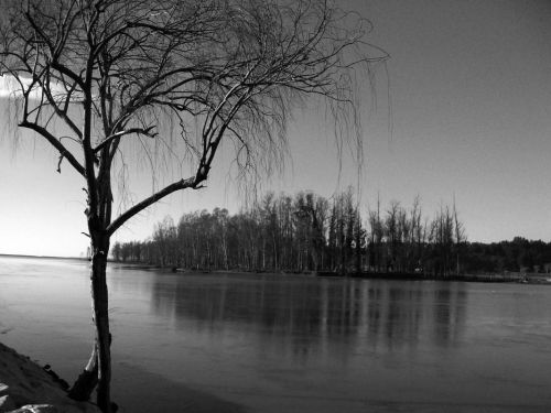 Fotografia de momentos graficos - Galeria Fotografica: Constitucin en gris - Foto: 