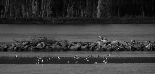 Fotografia de momentos graficos - Galeria Fotografica: Constitucin en gris - Foto: 