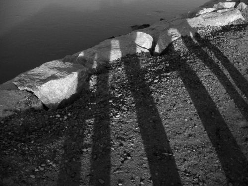 Fotografia de momentos graficos - Galeria Fotografica: Constitucin en gris - Foto: 