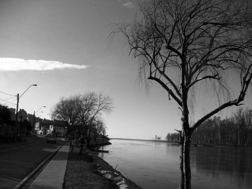 Fotografia de momentos graficos - Galeria Fotografica: Constitucin en gris - Foto: 