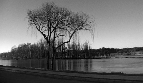 Fotografia de momentos graficos - Galeria Fotografica: Constitucin en gris - Foto: 