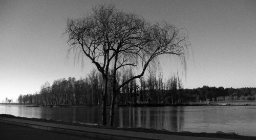 Fotografia de momentos graficos - Galeria Fotografica: Constitucin en gris - Foto: 