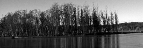 Fotografia de momentos graficos - Galeria Fotografica: Constitucin en gris - Foto: 