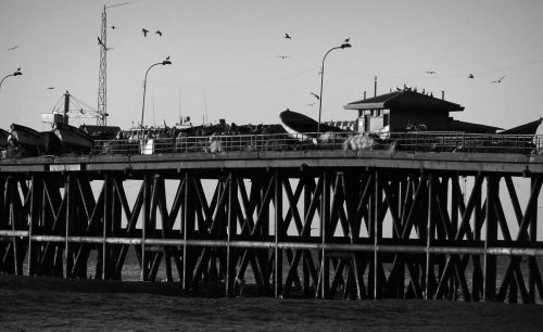 Fotografia de momentos graficos - Galeria Fotografica: Constitucin en gris - Foto: 