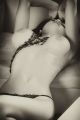 Foto de  SMstudio - Galería: Erotic - Fotografía: 