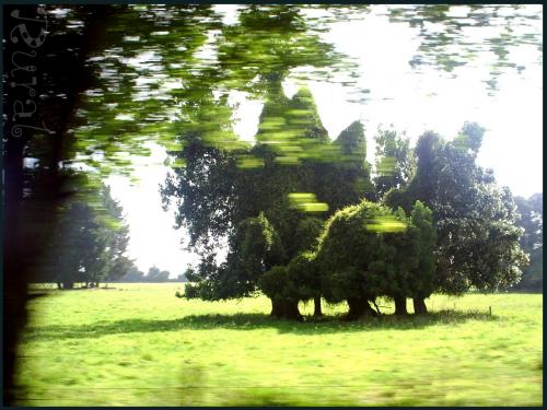 Fotografia de tg - Galeria Fotografica: NaTTuralBLue - Foto: RuraL