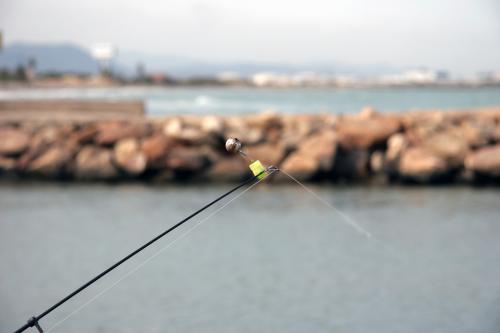 Fotografia de GAG - Galeria Fotografica: Dietas - Foto: Caa