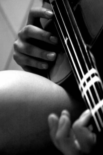 Fotografia de Brissa - Galeria Fotografica: Fotos - Foto: 