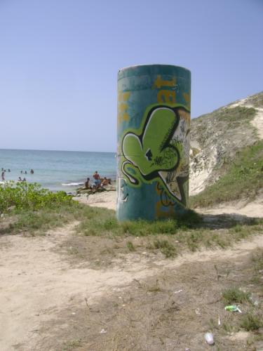 Fotografia de D albano - Galeria Fotografica: Sesin 0.3 - Foto: As