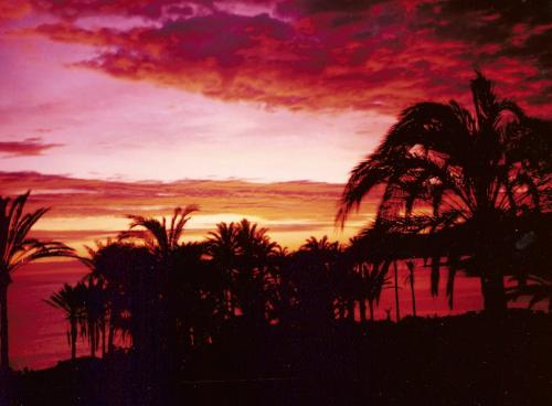 Fotografia de alma - Galeria Fotografica: los detalles q mis ojos ven y la lente captura - Foto: javea amaneciendo