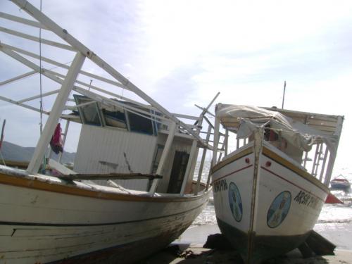 Fotografia de D albano - Galeria Fotografica: Sesin 0.3 - Foto: pezqeros