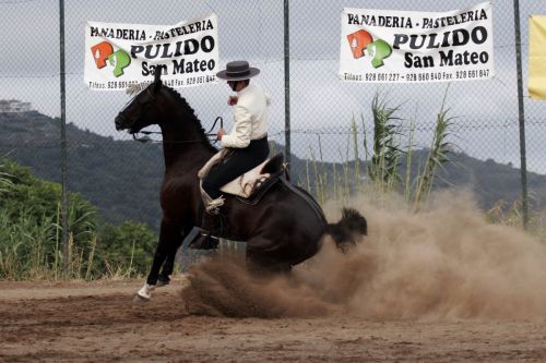 Fotografia de Ral Blangette Avalle - Galeria Fotografica: Caballos - Foto: 