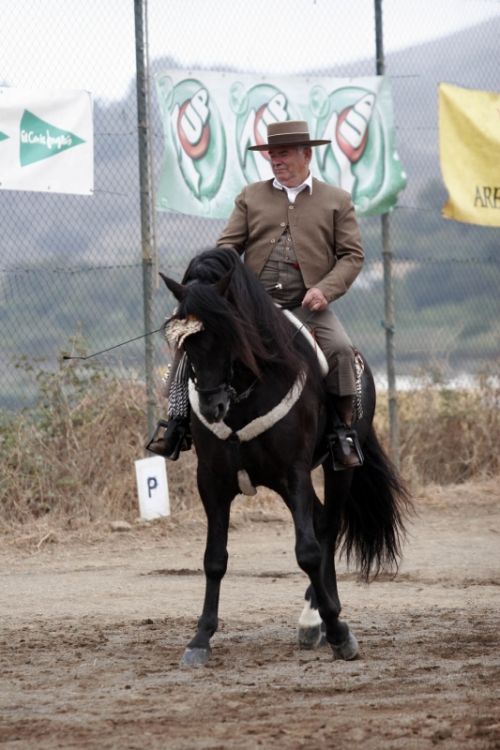 Fotografia de Ral Blangette Avalle - Galeria Fotografica: Caballos - Foto: 