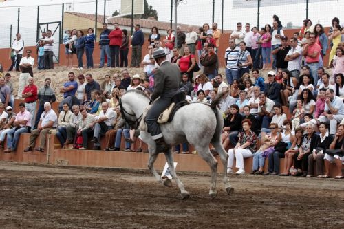 Fotografia de Ral Blangette Avalle - Galeria Fotografica: Caballos - Foto: 