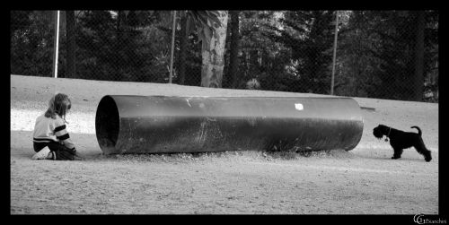 Fotografia de Gabriel Bianchini - Galeria Fotografica: Natura - Foto: 