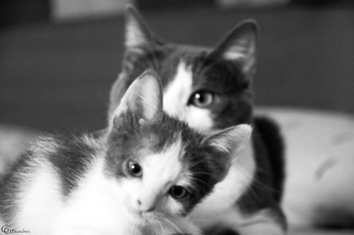 Fotografia de Gabriel Bianchini - Galeria Fotografica: Natura - Foto: 