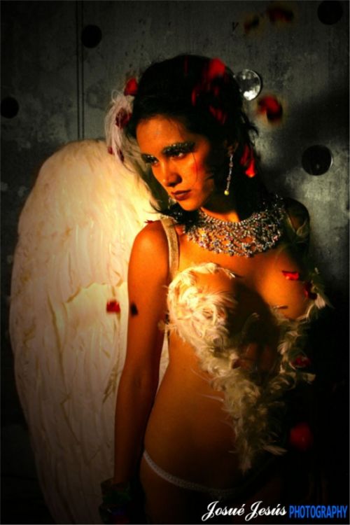 Fotografia de fotopromomusic - Galeria Fotografica: Alas y colores - Foto: 