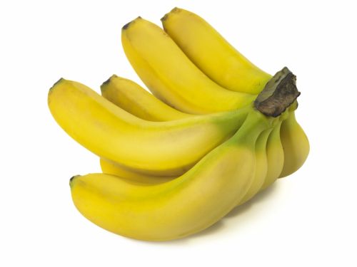 Fotografia de pitu estol , fotgraf - Galeria Fotografica: pitu estol fotgraf - Foto: 