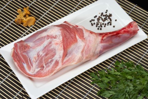 Fotografia de pitu estol , fotgraf - Galeria Fotografica: pitu estol fotgraf - Foto: 