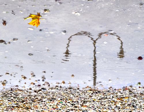 Fotografia de rgpalomino - Galeria Fotografica: Practicas de Fin de Semana - Foto: 