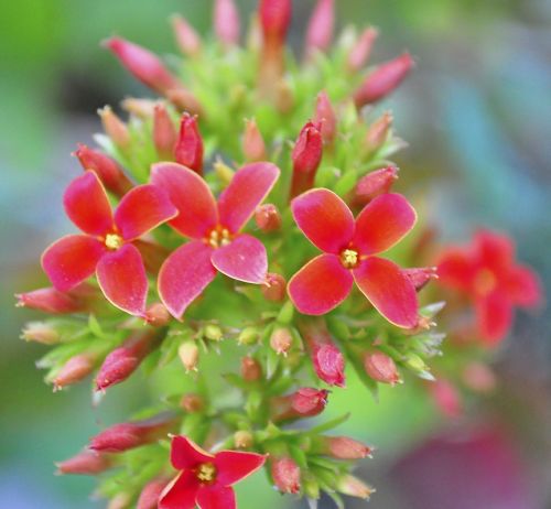 Fotografia de rgpalomino - Galeria Fotografica: Practicas de Fin de Semana - Foto: 