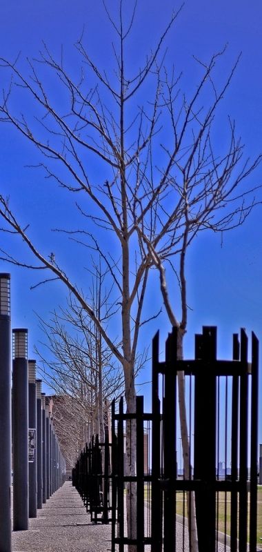 Fotografia de rgpalomino - Galeria Fotografica: Practicas de Fin de Semana - Foto: 