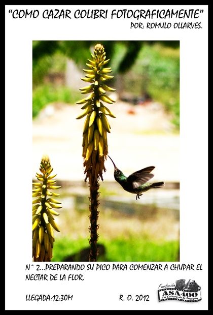 Fotografia de ollarves retratos profesionales y artisticos - Galeria Fotografica: 