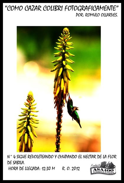 Fotografia de ollarves retratos profesionales y artisticos - Galeria Fotografica: 