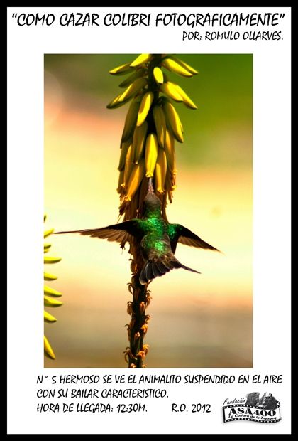 Fotografia de ollarves retratos profesionales y artisticos - Galeria Fotografica: 