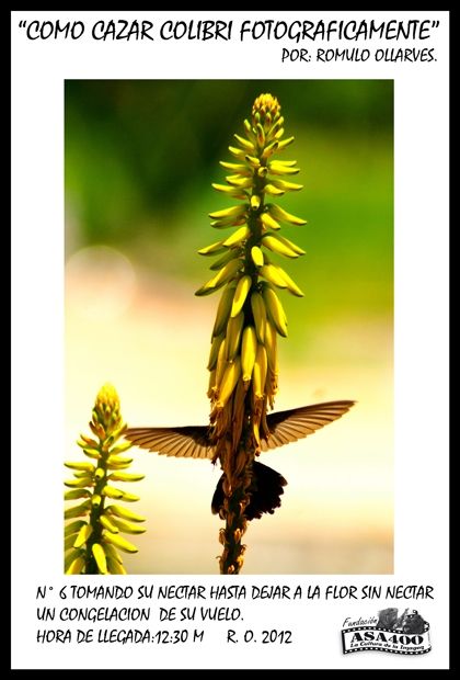 Fotografia de ollarves retratos profesionales y artisticos - Galeria Fotografica: 