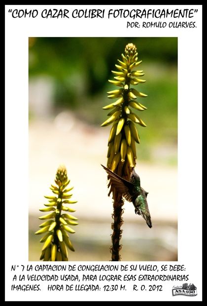 Fotografia de ollarves retratos profesionales y artisticos - Galeria Fotografica: 