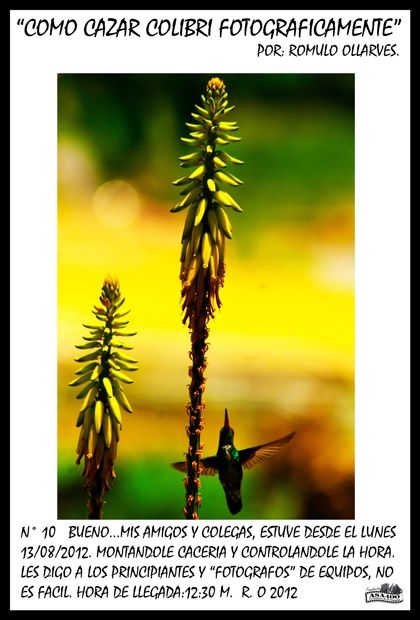 Fotografia de ollarves retratos profesionales y artisticos - Galeria Fotografica: 