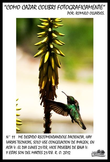 Fotografia de ollarves retratos profesionales y artisticos - Galeria Fotografica: 