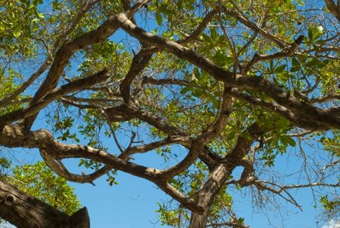 Fotografia de ollarves retratos profesionales y artisticos - Galeria Fotografica: 