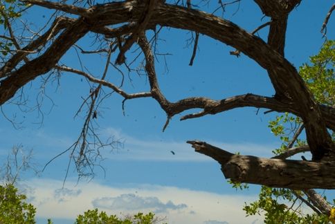 Fotografia de ollarves retratos profesionales y artisticos - Galeria Fotografica: 