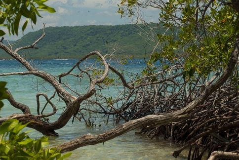 Fotografia de ollarves retratos profesionales y artisticos - Galeria Fotografica: 