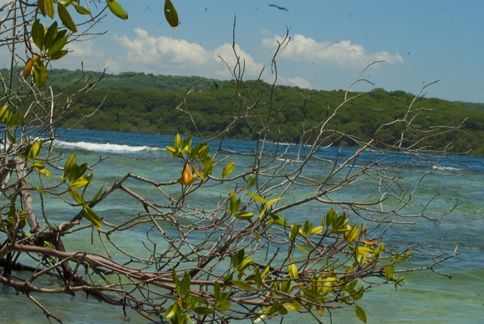 Fotografia de ollarves retratos profesionales y artisticos - Galeria Fotografica: 