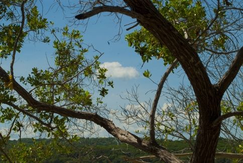 Fotografia de ollarves retratos profesionales y artisticos - Galeria Fotografica: 