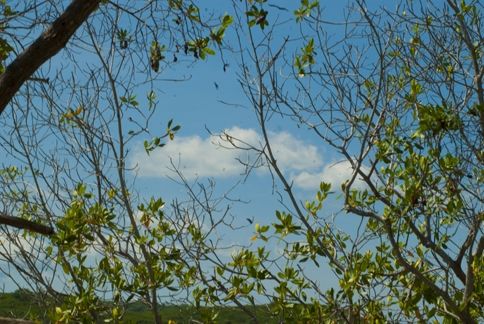 Fotografia de ollarves retratos profesionales y artisticos - Galeria Fotografica: 