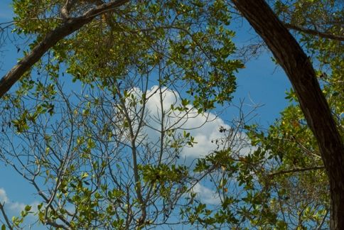 Fotografia de ollarves retratos profesionales y artisticos - Galeria Fotografica: 