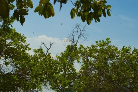 Fotografia de ollarves retratos profesionales y artisticos - Galeria Fotografica: 